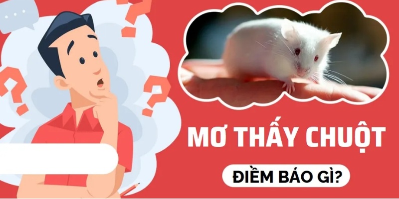 Hé lộ một vài con số may mắn trong các trường hợp đặc biệt khác