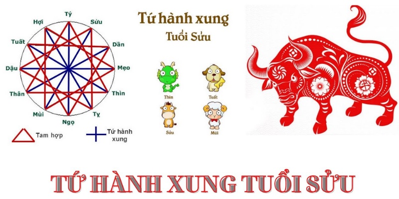 Khái niệm tứ hành xung