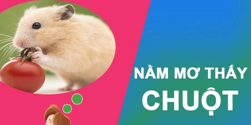 Luận bàn mơ thấy chuột đánh con gì trong từng trường hợp