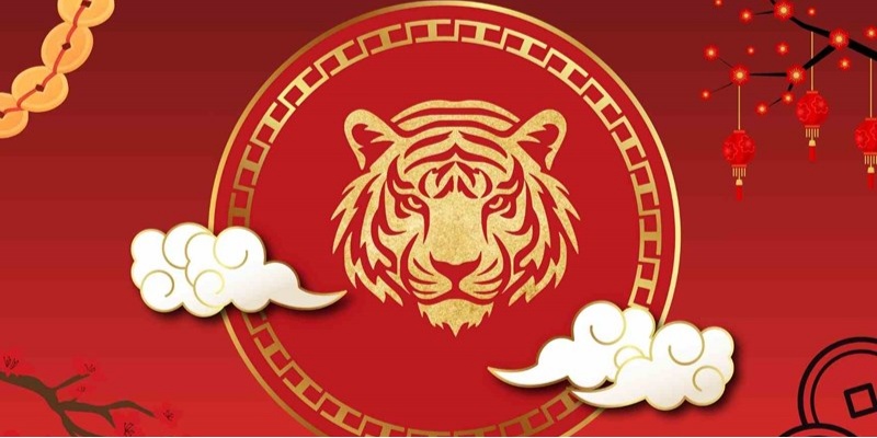 Theo dõi tử vi tuổi Dần năm Bính Ngọ 2026