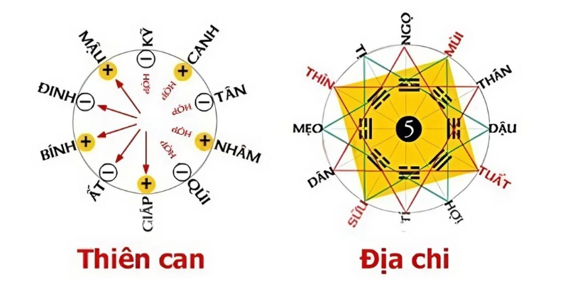Thiên Can Là Gì - Tìm Hiểu Ý Nghĩa, Quy Luật Và Vai Trò