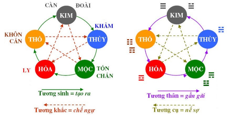 Tìm hiểu nguyên lý tương sinh
