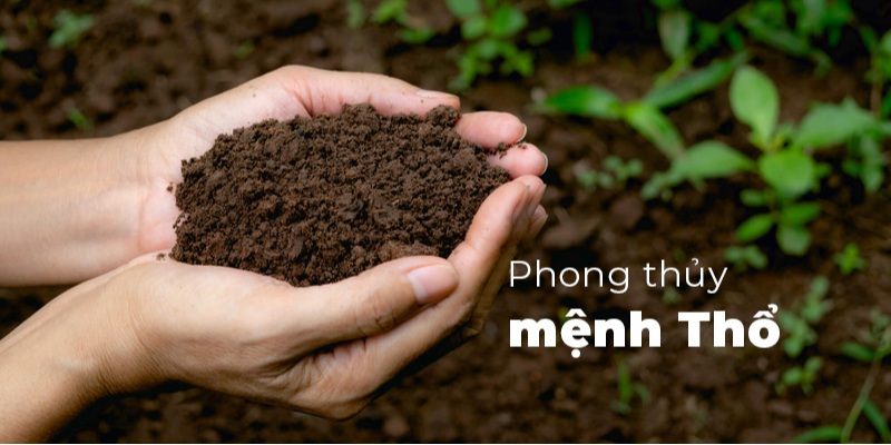 Tử Vi Mệnh Thổ – Giải Mã Vận Trình, Cách Tăng Phúc Khí
