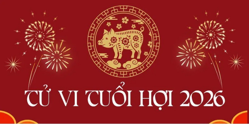 Tử Vi Tuổi Hợi – Vận Số Từng Năm Sinh, Mẹo Cân Bằng Phong Thủy