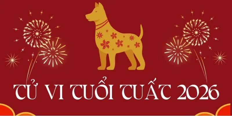 Tử Vi Tuổi Tuất – Vận Trình Từng Năm Sinh, Bí Quyết Đón May