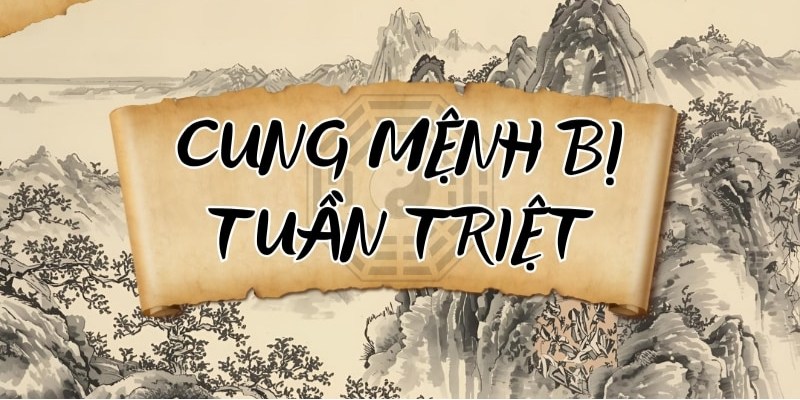 Ứng dụng trong hôn nhân khá chi tiết